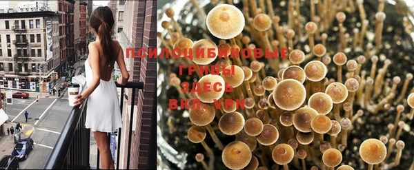 первитин Мегион