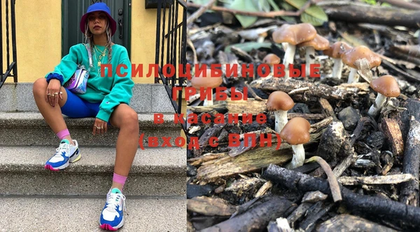 мяу мяу мука Медногорск